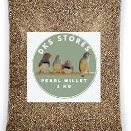 Pearl Millet, Bajra or Kambu Bird Food for All Life Stages Pigeons, Doves, Canaries, Budgies, Waxbills, Finches, Lovebirds, and More 1KG (1000 Gram)-image-54