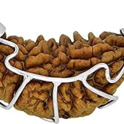 1 Mukhi Rudraksha Pendant Original Natural Quality Ek Mukhi Rudraksha Bead Necklace with Lab Report for Men & Women, Origin Indian (Brown) by REBUY-image-72