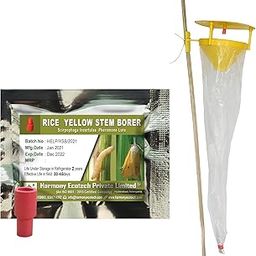 ACTIVE IPM Funnel Trap + Scirpophaga incertulas Pheromone Lure (Combo Pack of 20 Sets) Pest Control Tool for Attracting, Trapping Rice Yellow Stem Borer Adult Moths in Rice Farms-image-90