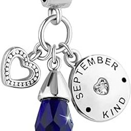 December Birthday Heart Love Simulated Birthstone Charms for Bracelets-image-41