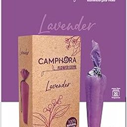 Camphor Cone (Lavender)-image-85