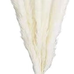 VELURA 15Pcs Dried Pampas Grass Branches 50cm for Boho Home Decor Wedding Party|Floral Decor| Home Decor |Home & Garden-image-27
