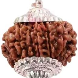 Trinetra Gems Asli 13 Mukhi Rudraksha Original Certified Nepali igl. Lab Terah Mukhi Rudraksh Silver Capped Thirteen Mukhi Rudraksha Beads Loose Blessed Indra तेरह मुखी रुद्राक्ष सिल्वर पेंडंट-1