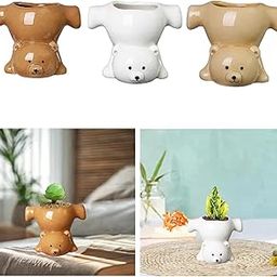 ATORSE Bear Shaped Plant Pot Ornament Flower Pot for Table Centerpiece Home Kitchen Brown-image-34