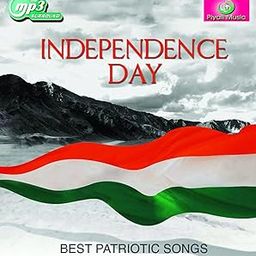 Generic Pen Drive -Patriotic Mp3 Song-image-51
