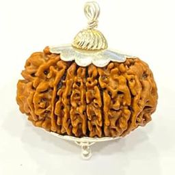 BRAINCORD Original Certified Pandrah Mukhi Rudraksha Fifteen Faced Rudraksh Pashupatinath Rudraksha 15 मुखी रुद्राक्ष Capped Genuine Rudraksha 15 Mukhi Rudraksha for Wearing Men & Women Both-image-9
