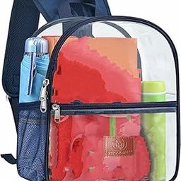 Transparent School Backpack Waterproof Backpack for Work, Travel, School Bag-34