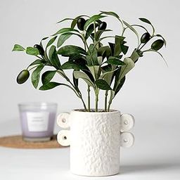 Anko Artificial Olive Tree in Pot | 27cm x 20cm x 16cm |Textured Stoneware Vase Design | Show Piece for Home Decor, Office Desk, Bedroom, Balcony, Living Room, Table Top | Realistic Decorative Item-29