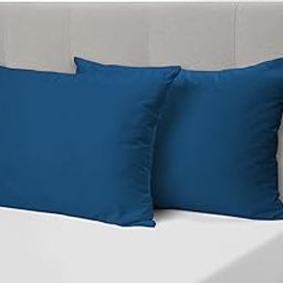 THE WOOD WHITE Microfiber Blue Soft Pillows Set of 2. 16 x 24 Inches-image-73