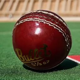 Leather Ball Red, Leather,Colour Red, White Seam for Cricket-image-80
