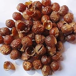 NPRC Reetha Raw and Dried Natural Form (200g)-image-10
