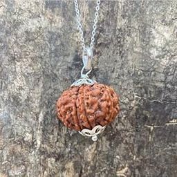 GEMFINITY Rare Quality 11 Mukhi Rudraksha Original Certified Nepali Gyarah Mukhi Rudraksha Eleven Faced Rudraksha Silver 11 Face Rudraksha Pendant Brown Beads 11 मुखी रुद्राक्ष लैब सर्टिफिकेट-image-48
