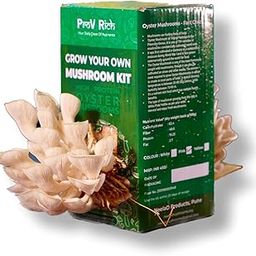 White Oyster Mushroom Kit-image-2