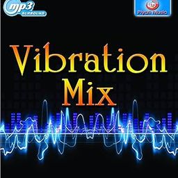 Generic Pen Drive - USB Song Vibration Mix DJ Latest ।। Bollywood ।। Car Song ।। Audio Mp3 ।। High Bass ।। USB ।। 16GB-30