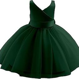 Panthi Fashion Girls Sleeveless Tulle Party Frock– Elegant V-Neck Princess Gown with Satin Waistband – Net Frock– Trendy Western One Piece for Baby's-image-84