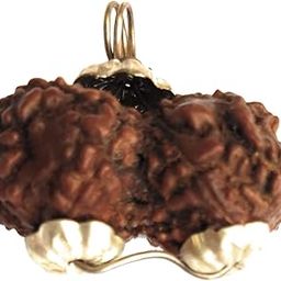 Nepal Gauri Shankar Rudraksha Locket for Men/Women Wearing - Natural Brown Lab Certified Rudraksh (Big Size, 23 mm) - Pack of 1-10