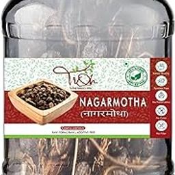 TIQH 100% Pure Nagarmotha Roots, Mustak - Cyperus Rotundus - Tunga Gaddalu, Natural Ayurvedic Herb for Immunity, Hair Care, Digestion, Nagar motha - Cyperus Rotundus Rhizome - Nut Sedge Roots (100 g)-image-24