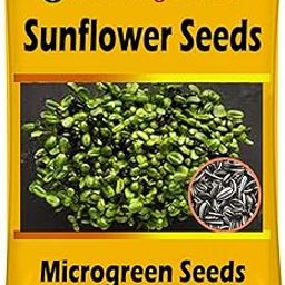 Iagrifarm Microgreens Sprouting Seeds, Sunflower Seeds,100g, Untreated Seed,Easy Grow Seeds-image-78