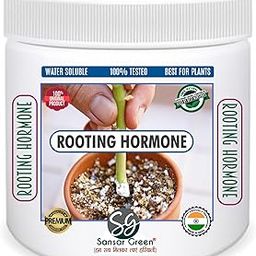 Sansar Green® Rooting Hormone Powder for Fast Growth of Roots in Cuttings and Air layering Plants. (50 gm)-19