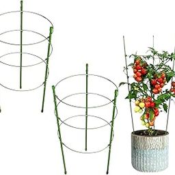 Garden Art Vegetable Trellis, Garden Plant Support Cages Stakes for Climbing Plants, Flowers, Fruits, Vine, Garden Trellis with 3 Adjustable Cable Ring GAFS60 | Pacck of 2 | 60 cm Tall-picture-19