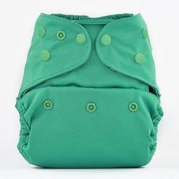 Bumberry Reusable Diaper Cover and 1 Natural Bamboo Cotton Insert (Blue Green)-image-36