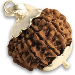 RudraGallery 9 Mukhi Rudraksha Original Certified Nepali Pendant 20mm 9 मुखी रुद्राक्ष माँ दुर्गा का प्रतिक 9 Mukhi Rudraksha Nav Durga Maa Mukhii Rudraksh Nine Face Rudrakshaa Nepal Original 9 Face Rudrakshas-image-39
