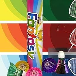 Fantasy Feather Shuttle, Colourful Pack of 10-25