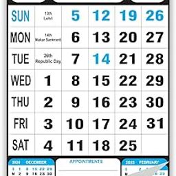 AccuPrints 12 Pages 2025, 14 by 20 inch Offices Wall Calendar Large Dates with Space for Marks/Notes-19