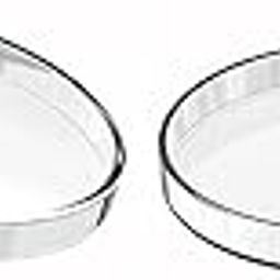 The labworld Borosilicate Glass Petri dish 4 inches 100 mm with lid pack of 2 pairs reusable cell culture dishes for microbiology autoclavable-image-10