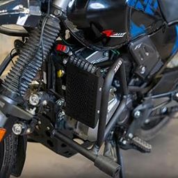RADIATOR GUARD HONEYCOM BLACK FOR X-PULSE 200-image-2