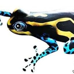 3xFrog Hanging Sculpture Colorful Metal Wall Decor for Outdoor Yard Sidewalk Yellow Black Green-image-5