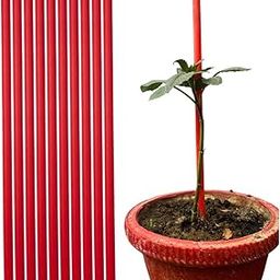 Trelliskart PVC Sticks Plant Support | Creepers | Climber | Garden Sticks Pack of 10 pc | Red-image-76