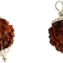 FOREVER Gems Teen Mukhi Rudraksha Original Certified Natural 3 Mukhi Rudraksha Nepal Origin AA++ Quality Three Face Rudraksha with Silver Capping Real Trimukhi Rudraksha Buy 1 Get Free Rudraksha-5