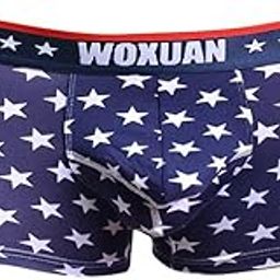 Mens American Flag Underwear Boxer Briefs Trunks Shorts Pants Red L-image-11