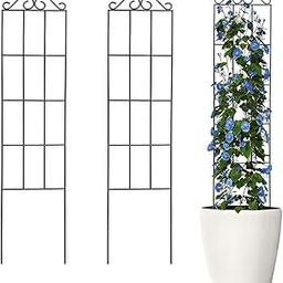 HASTHIP® 2 Pack Metal Garden Trellis for Climbing Plants, Grid Insert-In Plant Creeper Support for Garden, Plant Support for Climbers, Plant Climber Support, 50X15CM Trellis for Plant Ivy, Vine, Rose-18