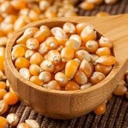 Popcorn Seeds Popping Kernels - Crunchy Popcorn, Popcorn Maize, Corn Kernels, Pop-Corn Makka Makai Pack Of 1 (200 gm)-image-29