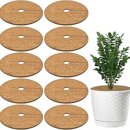 Casa De Amor Coco Coir Mulch Ring Mat 10 Inches, Pack of 10 | Natural Coconut Fiber Plant Protector for Indoor & Outdoor Plants | Weed Control & Moisture Retention | Root Protection & Soil Health-14