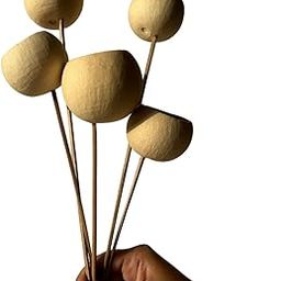 Bell Cup Dried Pods |Set of 5 Sticks|Natural Decor & Craft Styling | Unique, Hollow & Long-Lasting | Perfect for Vases, Potpourri & DIY Arrangements(Natural)-image-97