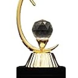 Trophy MART Electron Metal Body & Wooden Base & Globe Glass Corporate Trophy for Leadership Business Service Achievement Awards | Promotional Event Trophies | (Gold, Large) TMF-1005-picture-27