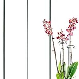 VOK57 Plant Support, 16 Inch, Sticks for Plants, Plant Holders for Balcony, Plant Holder Stick, Garden Stakes Metal, Money Plant Support Stick-image-82