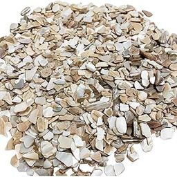 Snoogg Natural Irregular White Mother of Pearl Chips Small Shiny for DIY, Home Décor, Craft, Aquarium,Ocean Theme-image-97
