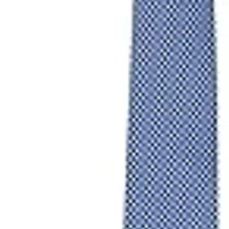 allen solly Men Light Blue Embroidered Formal Tie-picture-30