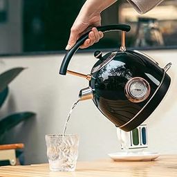 Hot Water Kettle Electric, 1500W Electric Tea Kettles Boiler with Thermometer, Stainless Steel Pour-Over Kettle Teapot 1.7L, Auto Shut-off & Boil-Dry Protection, Anti-scald Curved Pattern Handle-picture-24