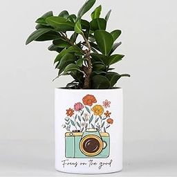 CHHAP CREATIONS Decorative Plant Pot with Camera Design and 'Focus on The Good' Quote, White Ceramic Planter for Indoor Plants-image-42