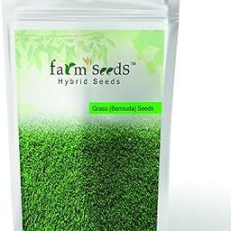 Farm Seeds Bermuda Grass - 1 Kg Seed-image-48