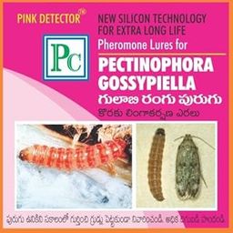 Pectinophora gossypiella (Pink boll Worm) Pheromone Lure for Cotton - Replacement Lures Without Trap (Qty: 25 No's)-image-15
