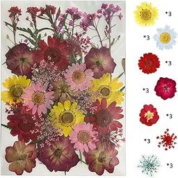 Natural Real Dried & Pressed Flowers for Art Craft - Mixed, Multicolor for Soap, Candle, Scrapbooking, DIY, Resin Jewelry, Pendant - [Luxury Red & Pink 30-35 pcs]-image-24