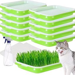 Seed Sprouter Germination Tray with Drain Holes, Nursery Tray, 500ml Empty Spray Bottle, Germination Paper Soil-Free Wheatgrass Sprouting Growing Kit for Garden Home Office (Pack of 1)-picture-13