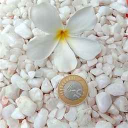 Shehri Kisaan® White Marble Chips (15kg) for Garden, Aquarium, Terrarium, Dish Gardens, Bonsai, Indoor Outdoor Decoration Pebbles Stone | Vase Fillers, Landscaping | Asymmetric, Rough, Consistent Size-image-52