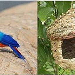 CALANDIS™ Handwoven Straw Bird Nest House Breeding Grass Cave with Blue Birds | Birdhouses | Bird & Wildlife Accessories | Yard, Garden & Outdoor Living-image-44